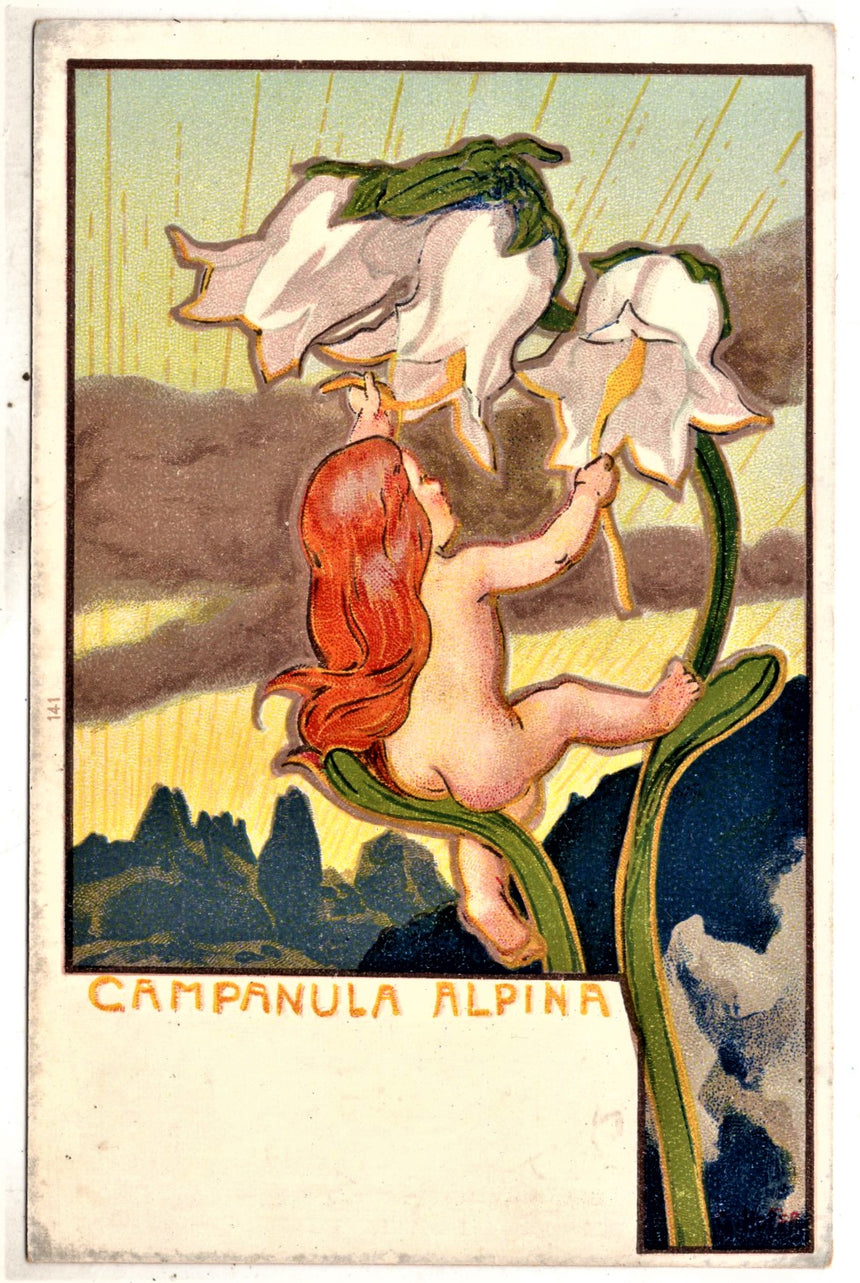 Cartolina antica Cartilina del pittore G.Hofer Campanula Alpina