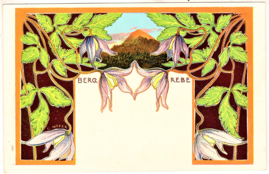 Cartolina antica Cartolina del pittore G.Hofer Berg.Rebe n167