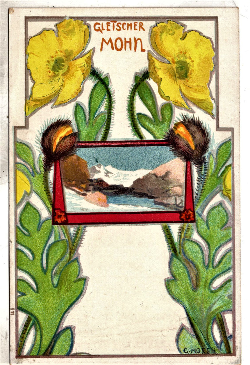 Cartolina antica Cartolina del pittore G.Hofer Gletscher Mohn n.146