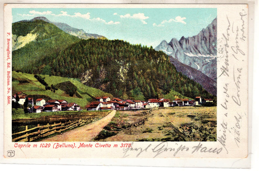 Cartolina antica Venas Cadore panorama nel 1900