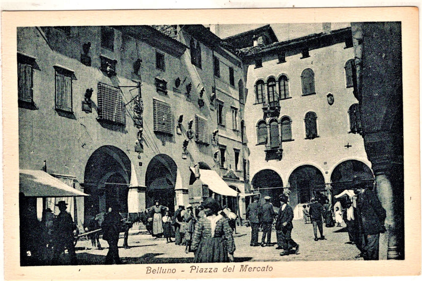 Cartolina antica Belluno piazza del mercato