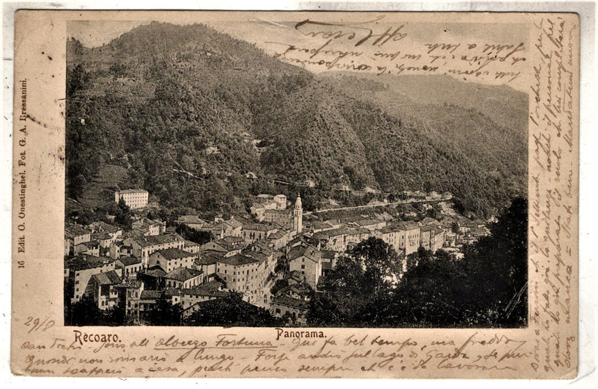 Cartolina antica Recoaro Panorama