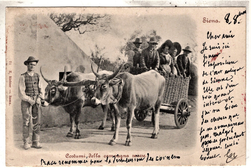 Cartolina antica Siena carro con buoi costuni Senesi