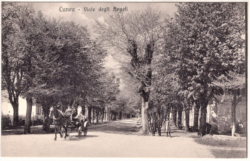 Cartolina antica Cuneo Viale degli Angeli