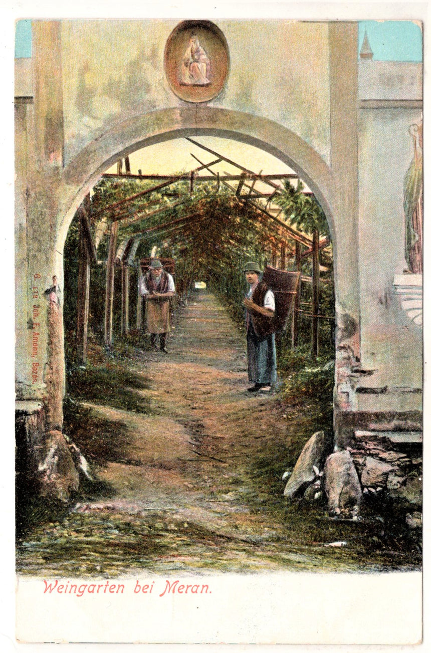 Cartolina antica Merano Weingarten bei Meran