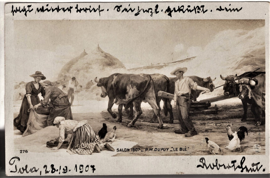 Cartolina antica Pola salon 1907 " Le Blu " spedito a Cormons