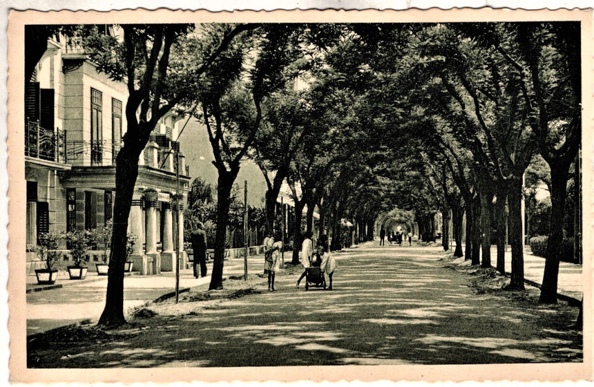 Cartolina antica Grado via Dante Alighieri