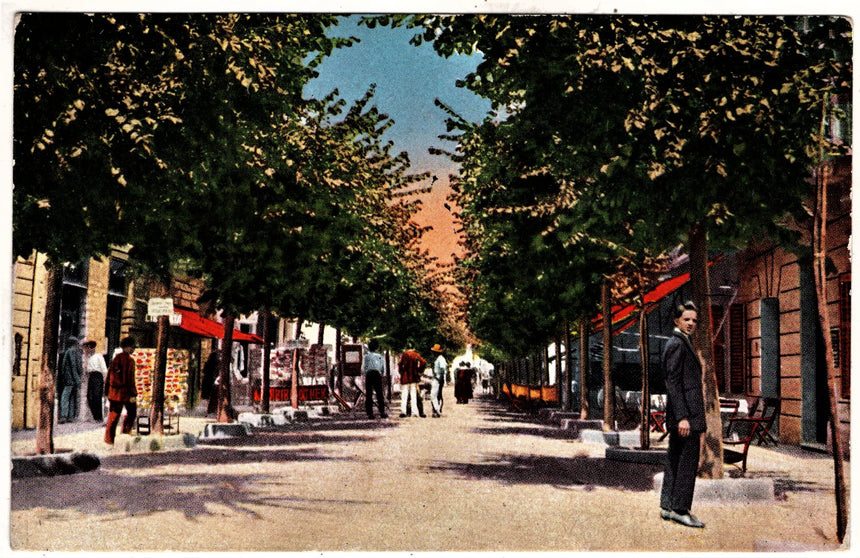 Cartolina antica Grado viale V. Emanuele III Croazia