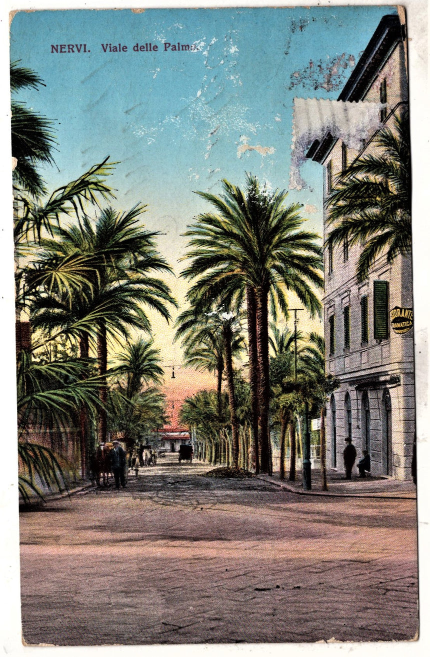 Cartolina antica Genova Nervi viale delle palme