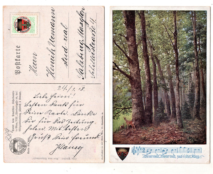 Cartolina Deutscher Schulverein number: 889 | Collezionissimo