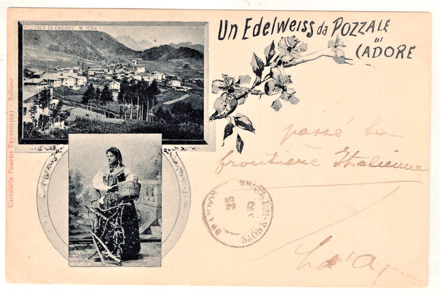 Cartolina Belluno Un Edelweiss da Pozzale di Cadore | Collezionissimo