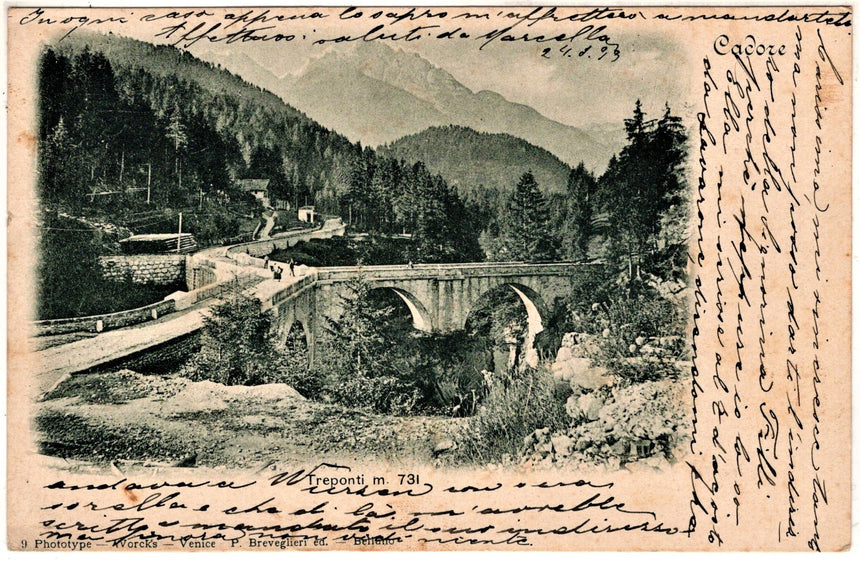 Cartolina antica Cadore Treponti