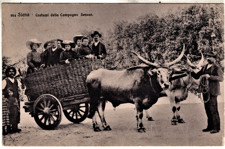 Cartolina antica Siena Costumi della campagna senese