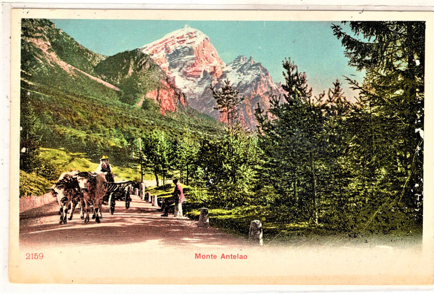 Cartolina antica Monte Antaleo carro con buoi
