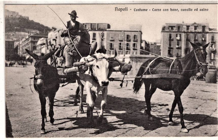 Cartolina antica Napoli costumi carro con bue cavallo asino