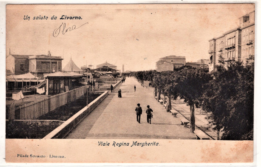 Cartolina antica Un saluto da Livorno Viale Regina Margherita