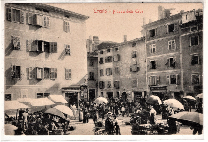 Cartolina antica Trento mercato in piazza delle erbe