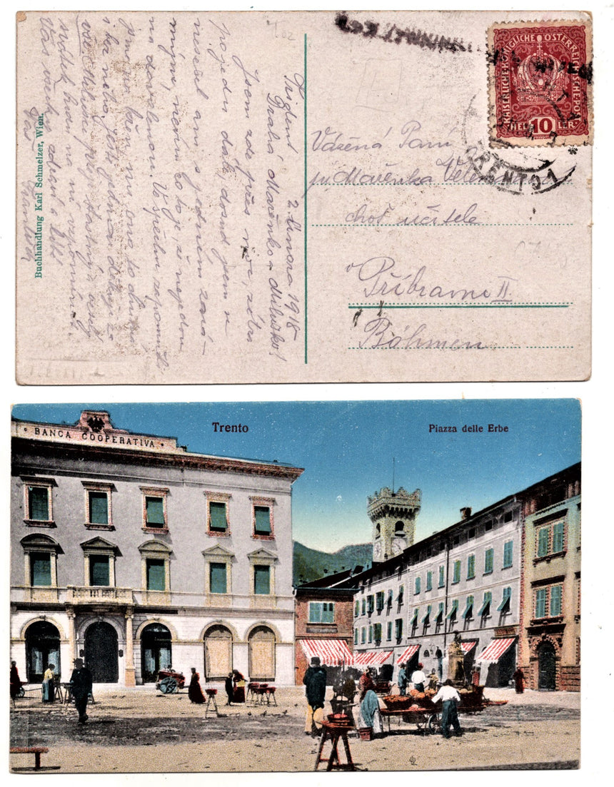 Cartolina antica Trento mercato in piazza delle erbe