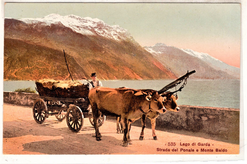 Cartolina antica Strada del Ponale e momte Baldo sul Garda carro con buoi