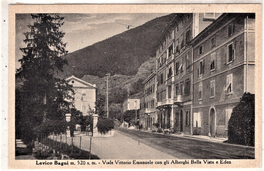Cartolina antica Levico Bagni viale V.Emanuele con alberghi