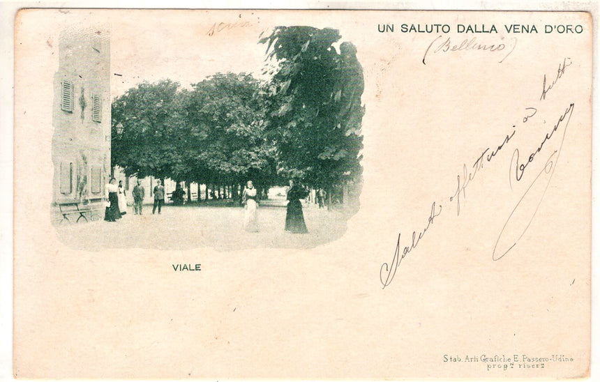 Cartolina antica Belluno un saluto dalla Vena d Oro il viale