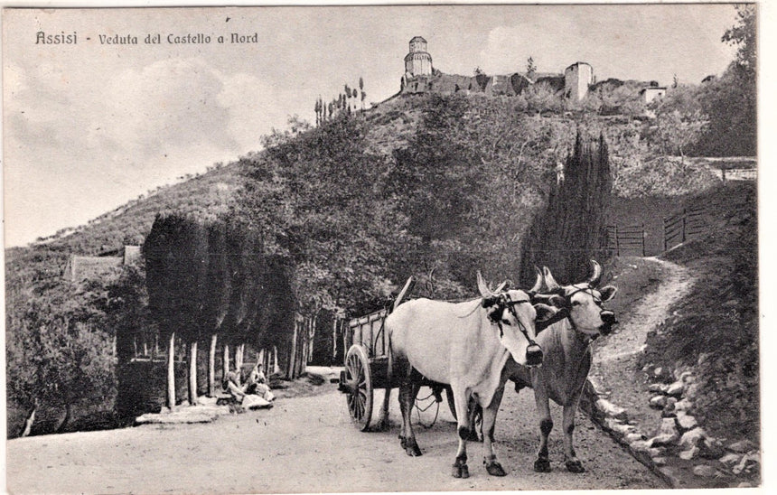 Cartolina antica Assisi veduta del castello carro con buoi