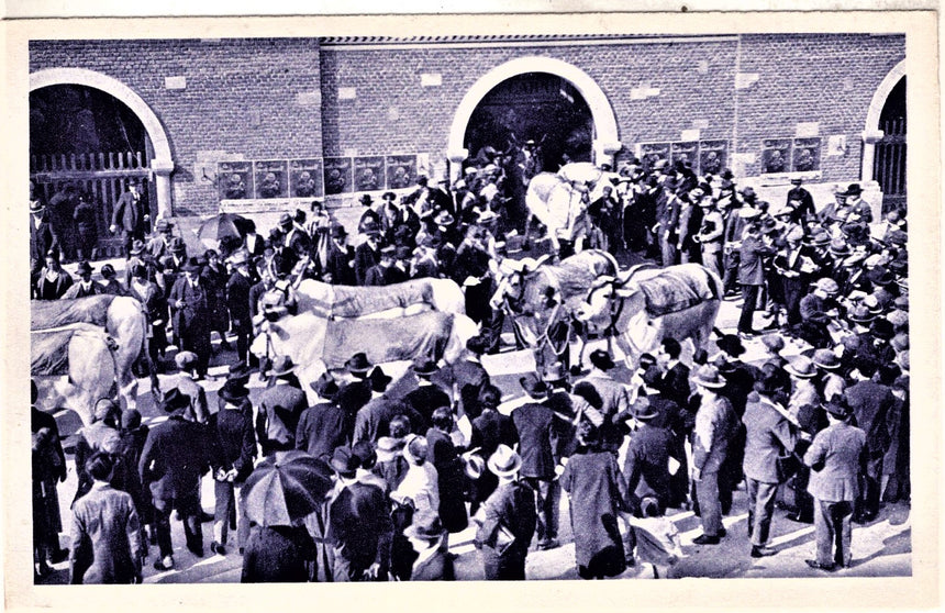 Cartolina antica Fiera esposicion internacional muestraria de Milano 1928