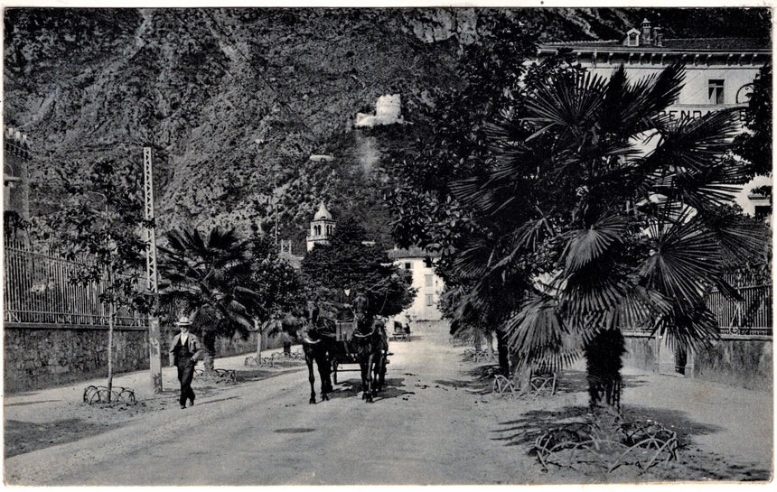 Cartolina antica Trento Riva Garda viale stazione