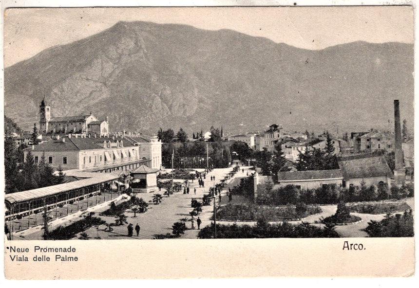 Cartolina antica Arco Trento Viala ( viale ) delle Palme