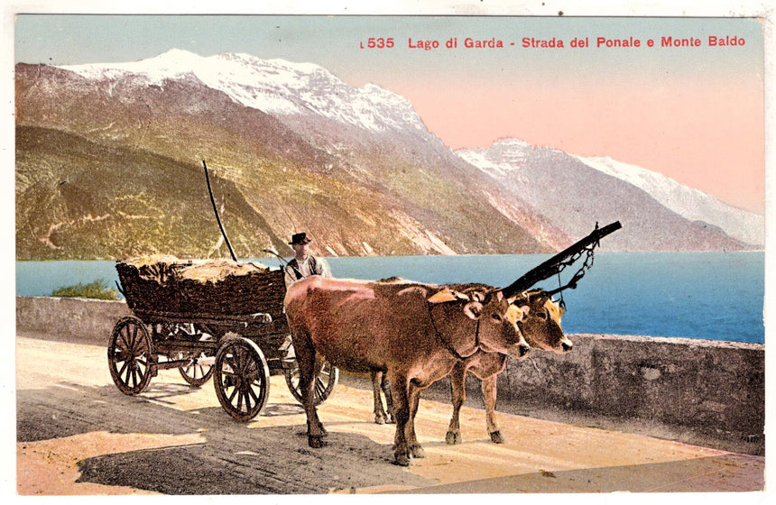 Cartolina antica Riva lago di Garda strada del Ponale e monte Baldo