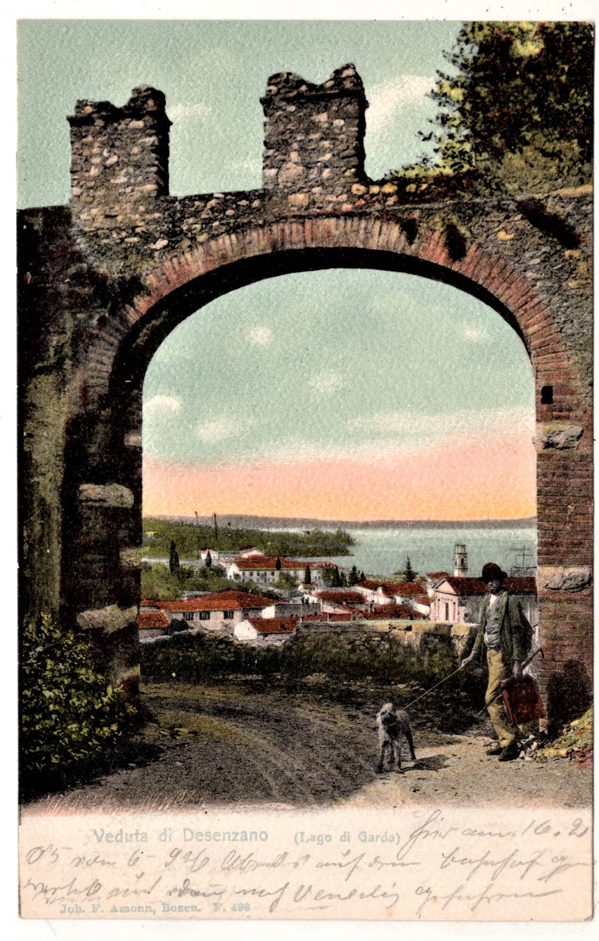Cartolina antica Desenzano lago di Garda particolare del panorama