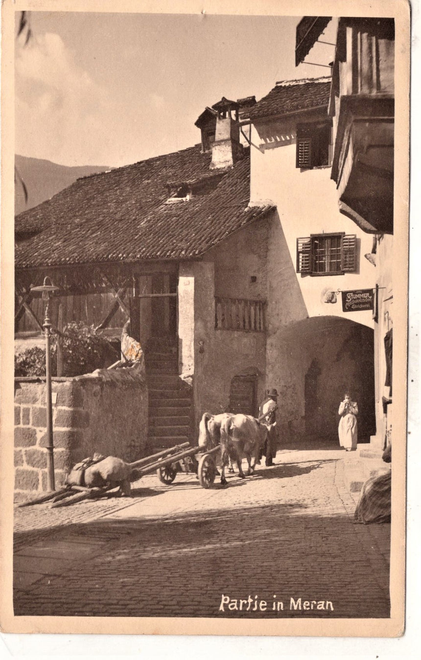 Cartolina antica Merano Partie in Meran