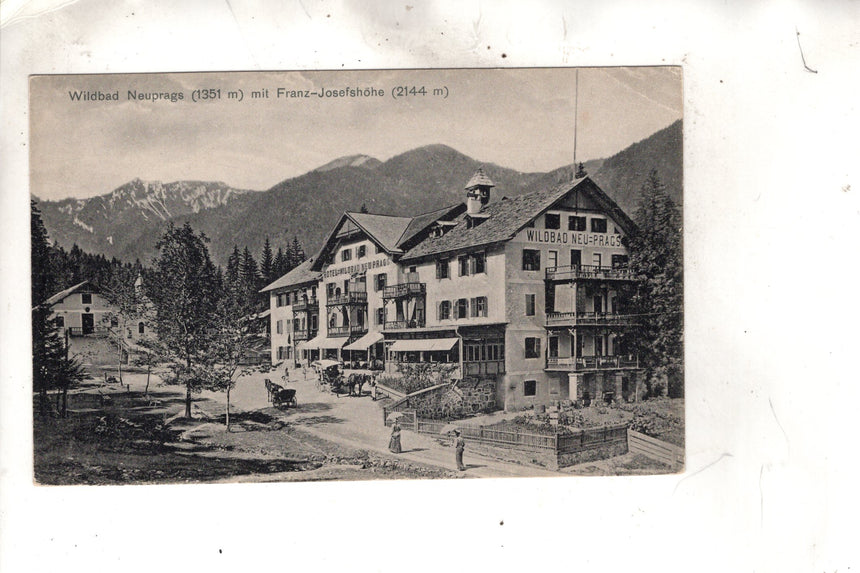 Cartolina antica Cortina Wildbad Neuprags
