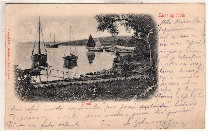 Cartolina antica Lussinpiccolo Cicale Croazia