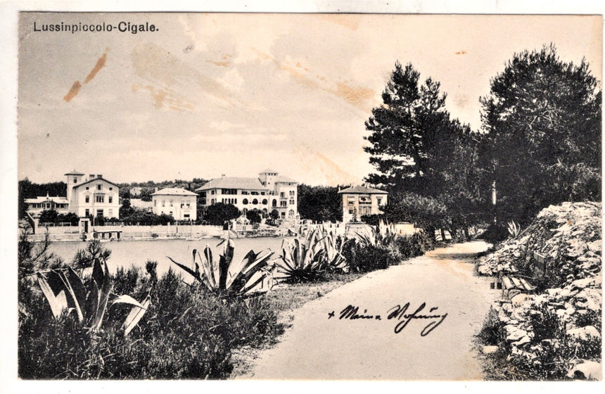 Cartolina antica Lussinpiccolo Cigale Istria Croazia