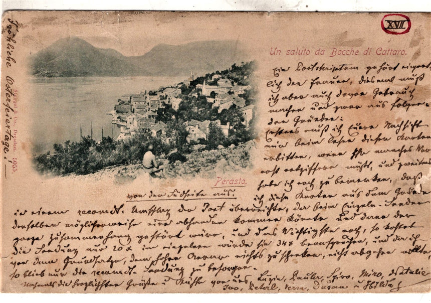 Cartolina antica Cattaro un saluto da bocche di Cattaro Montenegro