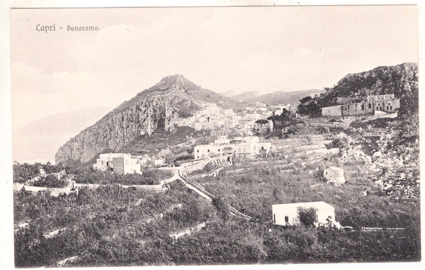 Cartolina antica Capri panorama