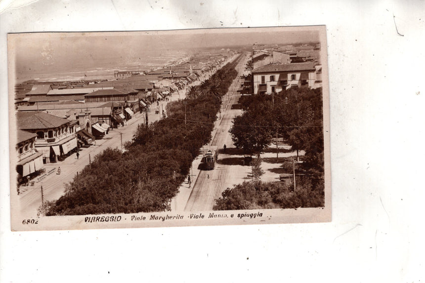 Cartolina antica Viareggio viale Margherita