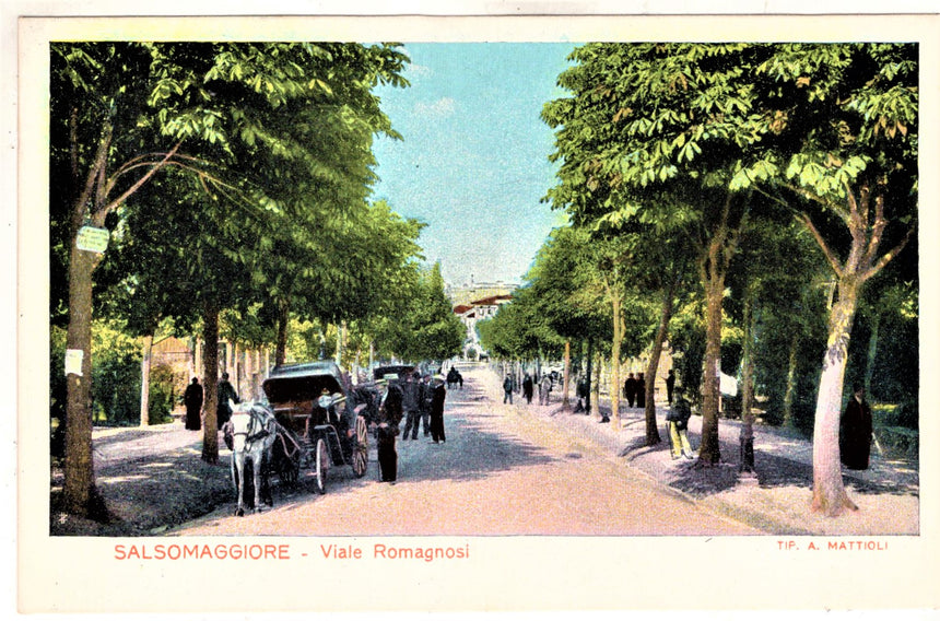 Cartolina antica Salsomaggiore Viale Romagnosi