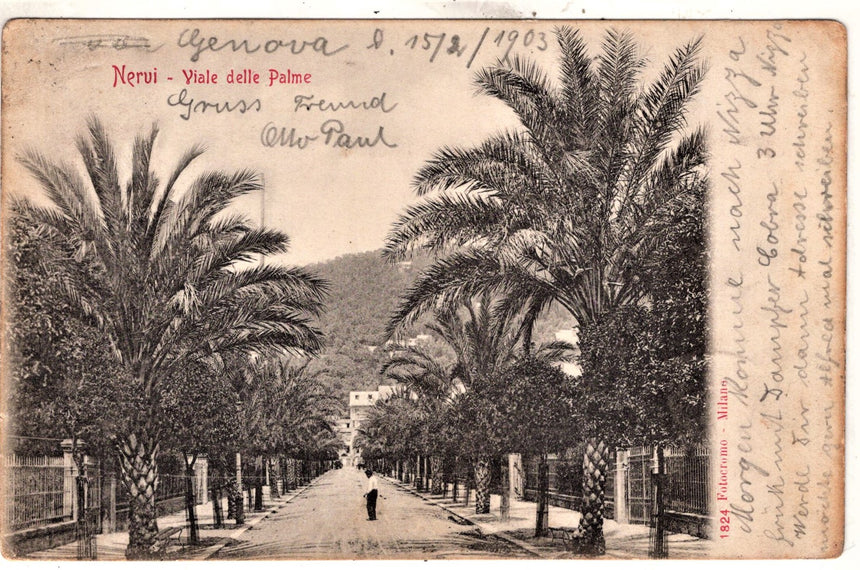 Cartolina antica Nervi viale delle palme Genova