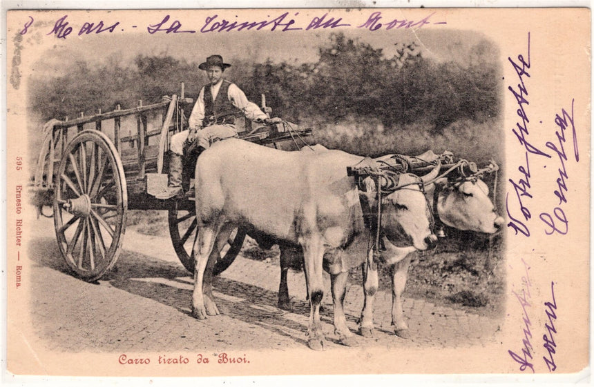 Costumi contadini carro tirato da buoi