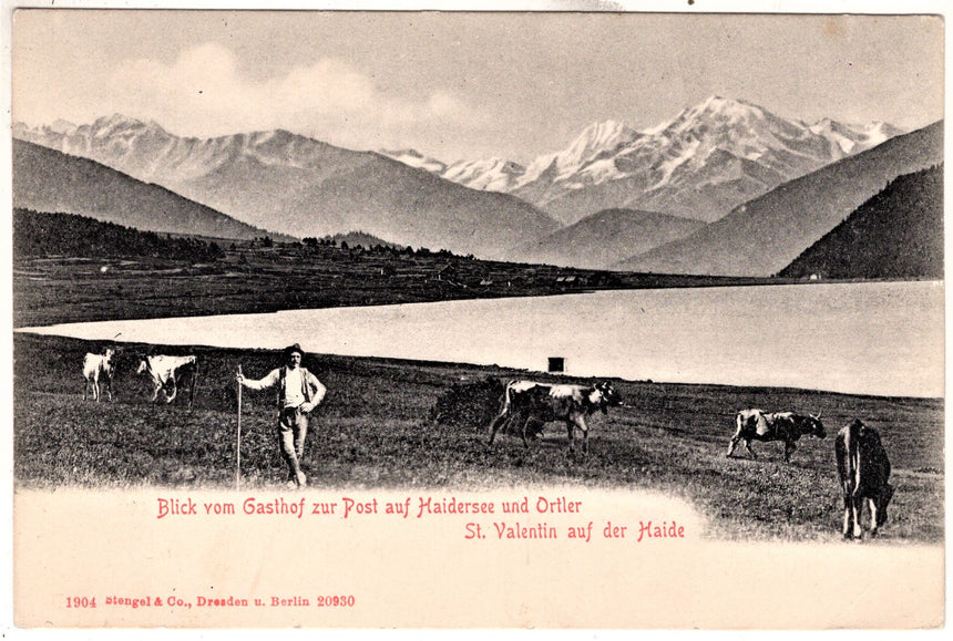 Sudtirol Alto Adige St. Valentin auf der Haide