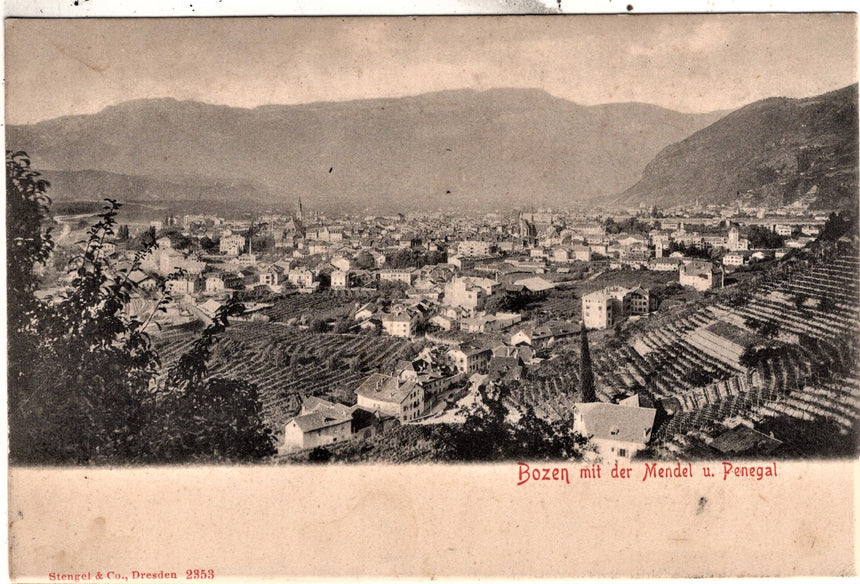 Cartolina Sudtirol Alto Adige Bozen Bolzano città - panorama | Collezionissimo