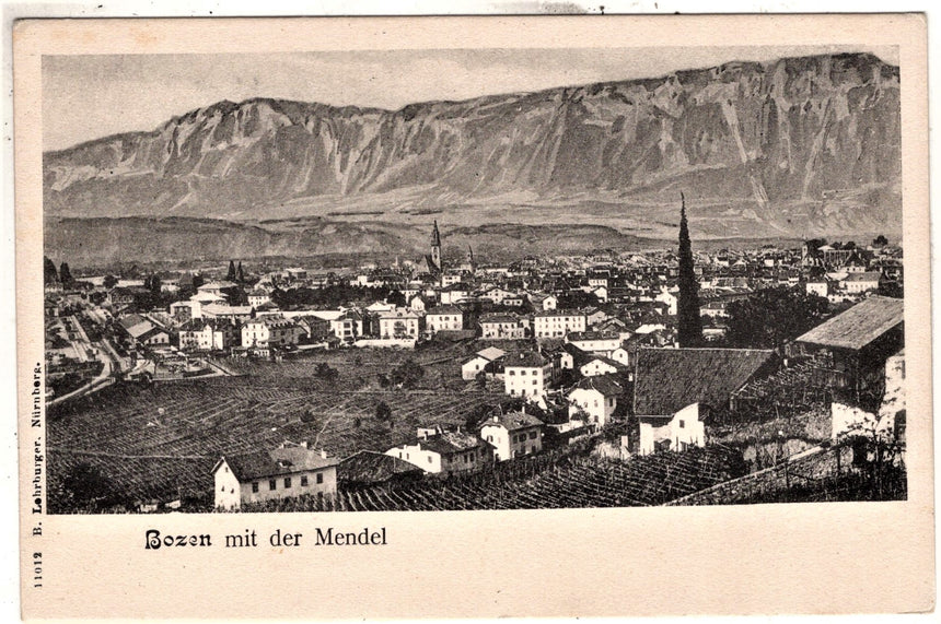 Cartolina Sudtirol Alto Adige Bozen Bolzano città - panorama | Collezionissimo