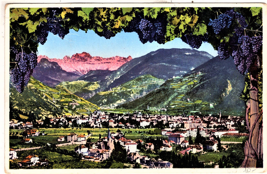 Cartolina Sudtirol Alto Adige Bozen Bolzano città - panorama per Predazzo | Collezionissimo