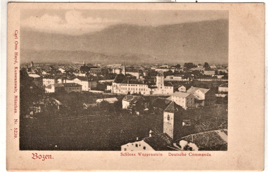 Cartolina Sudtirol Alto Adige Bozen Bolzano città - panorama | Collezionissimo