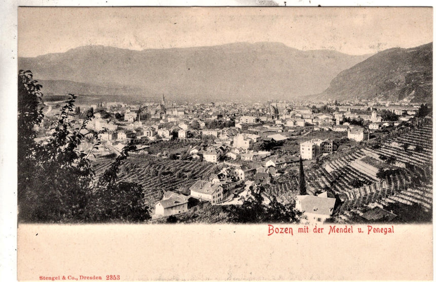 Cartolina Sudtirol Alto Adige Bozen Bolzano città - panorama | Collezionissimo