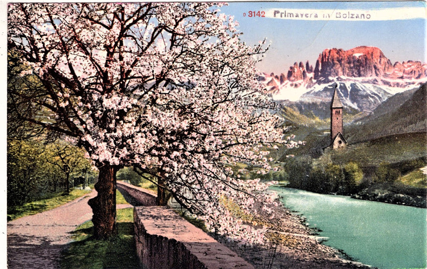 Cartolina Sudtirol Alto Adige Bozen Bolzano città - panorama | Collezionissimo. Cartolina firmata e viaggiata