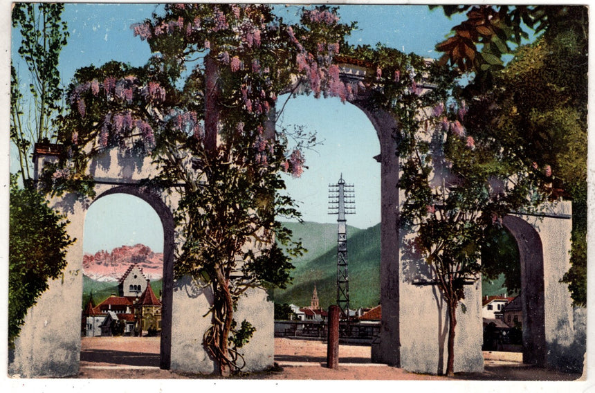 Cartolina Sudtirio Alto Adige Bolzano Bozen Monumento con i glicini in piazza Vittoria | Collezionissimo