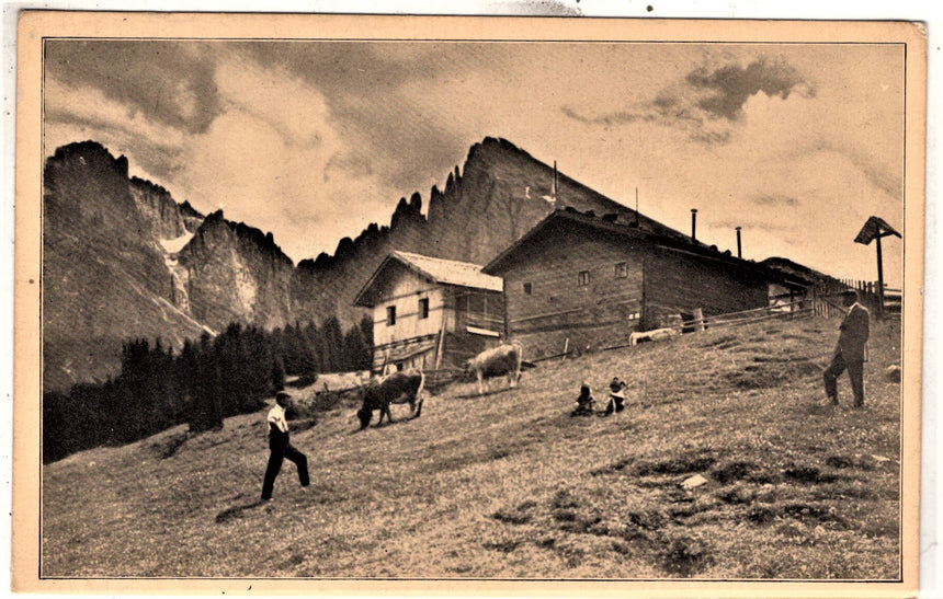 Cartolina Sudtirol Alto Adige Bolzano Bozen Seiseralpe Salteria Alpe di Siusi | Collezionissimo